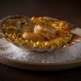 Coquille Saint-Jacques aux champignons