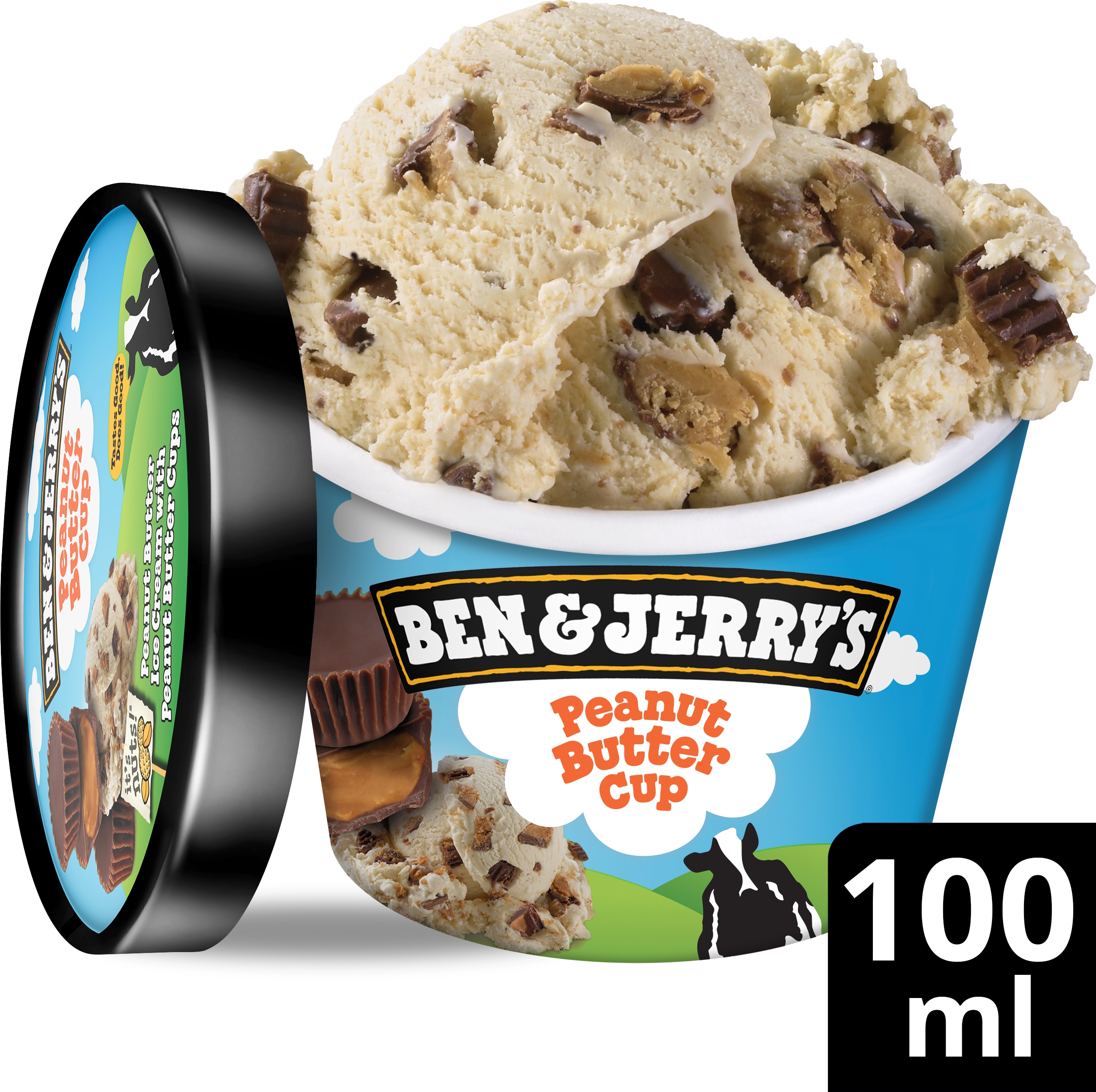 Ben & Jerry's Mini Glace Peanut Butter Cup 12 x 100 ml - 