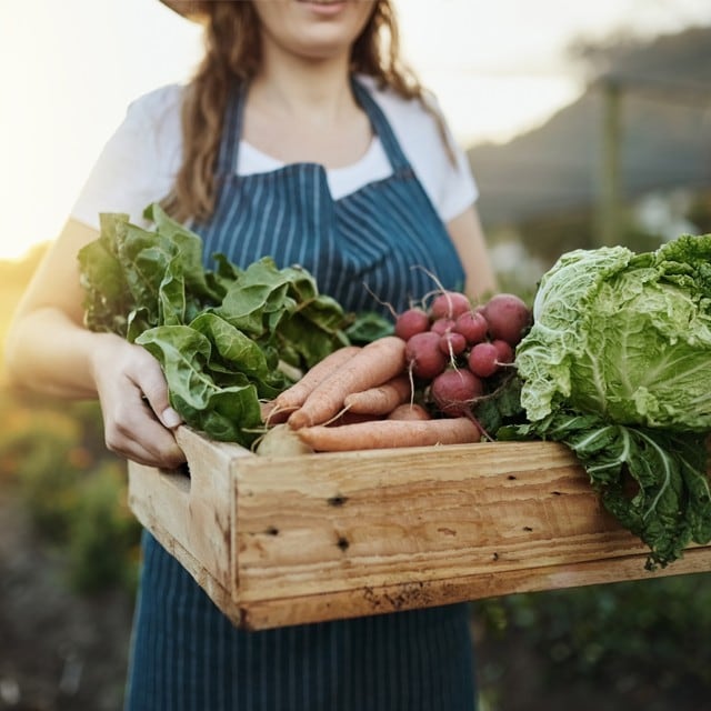 Pleins feux sur les légumes