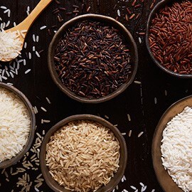 Les variétés de riz et les alternatives