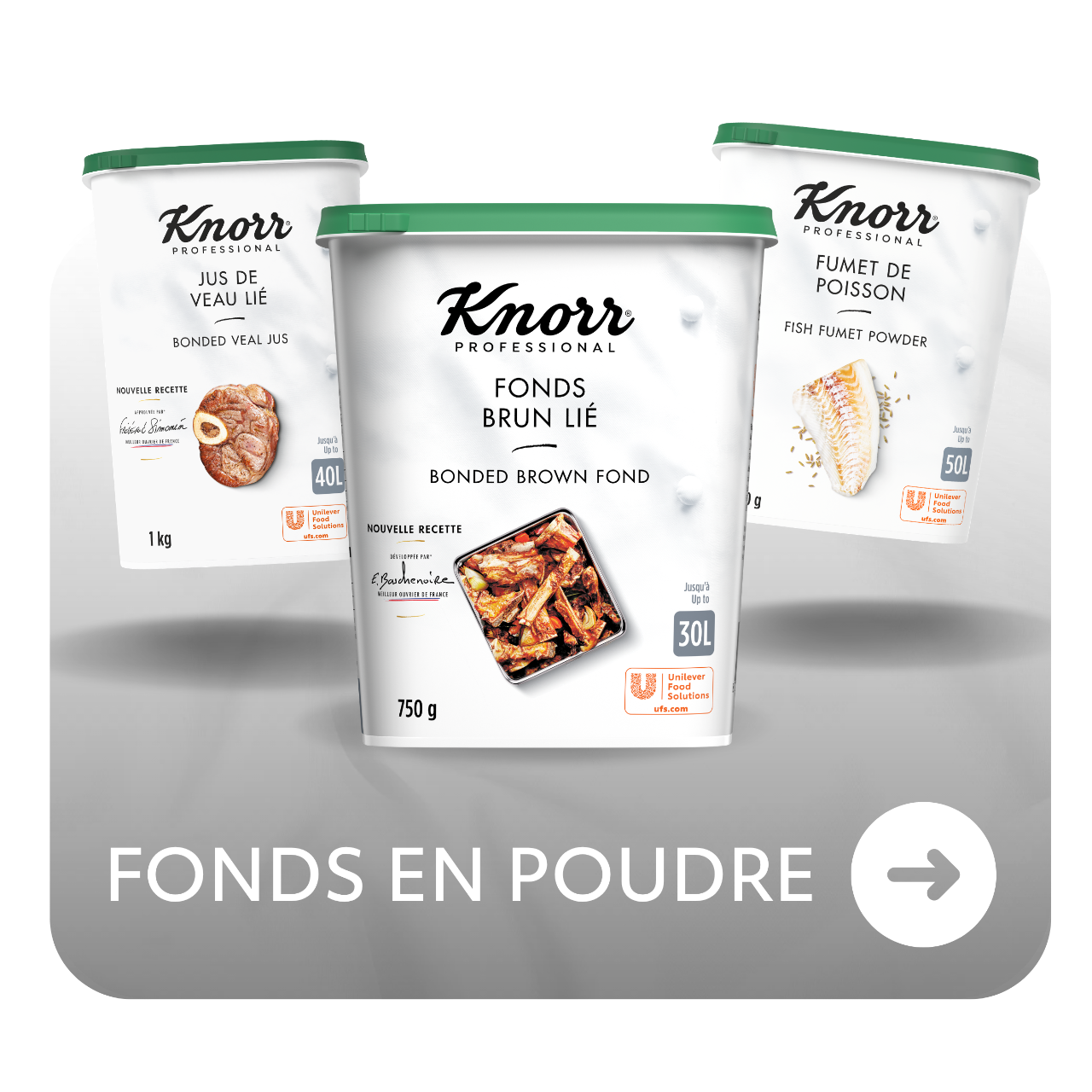 Knorr Professional Fonds en Poudre