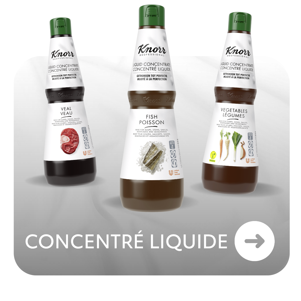 Knorr Professional Concentré liquide