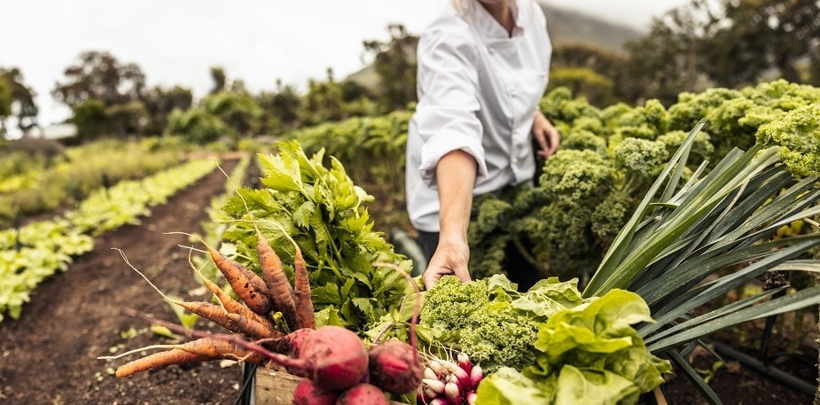 Les principes d'agriculture durable (SAP)