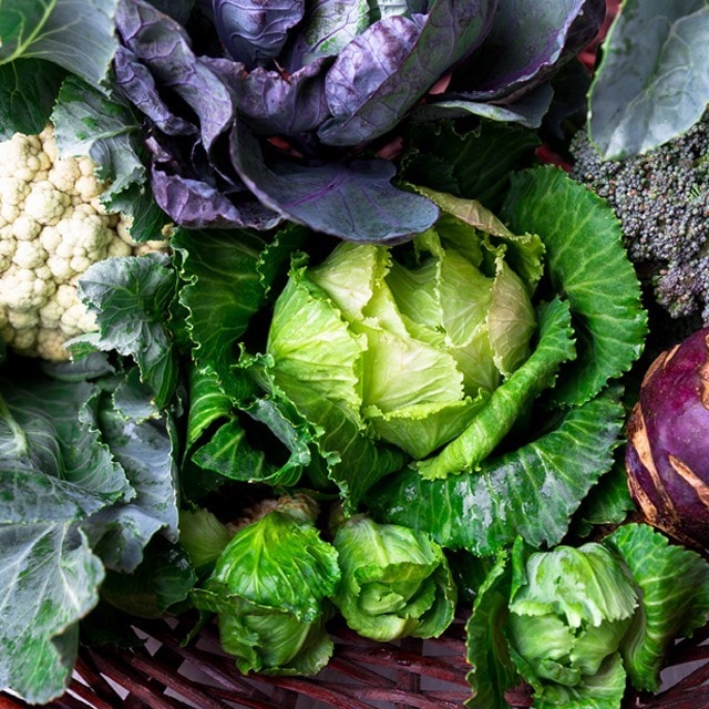 Les saisons, plus qu'une cuisine rustique