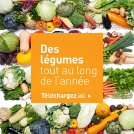 Calendrier légumes