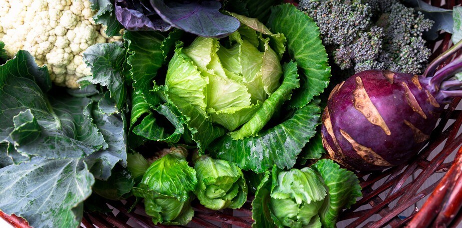 Les saisons, plus qu'une cuisine rustique