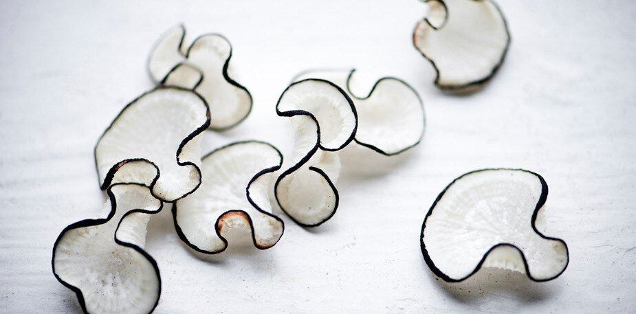 Tirez un trait sur le gaspillage : techniques de conservation