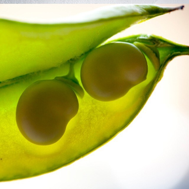 Wouter van der Vieren : un chef digne de ce nom  respecte les saisons