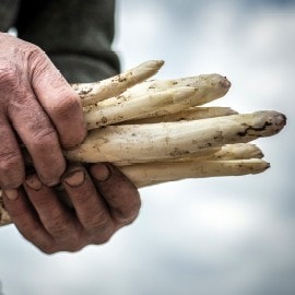 Les asperges : au cœur de la cuisine de terroir belge 
