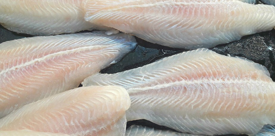 Rafraîchissez vos connaissances techniques sur le merlan