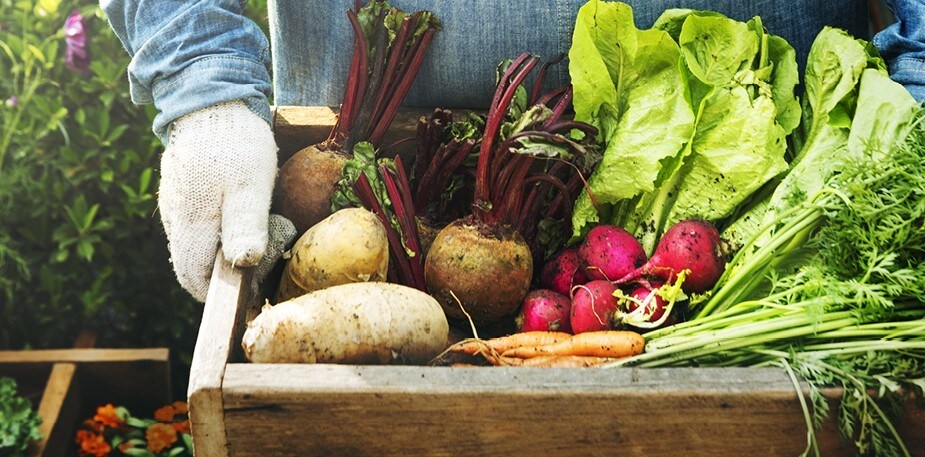 Montrez votre amour pour les produits locaux