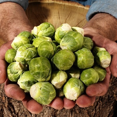  Pourquoi le « terroir » doit-il figurer en tête de votre liste ?