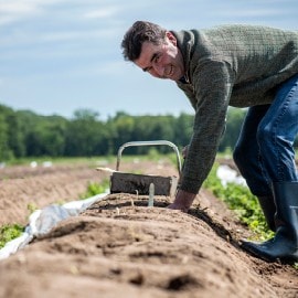 Tirez pleinement parti de la saison avec les asperges de Van Roey 