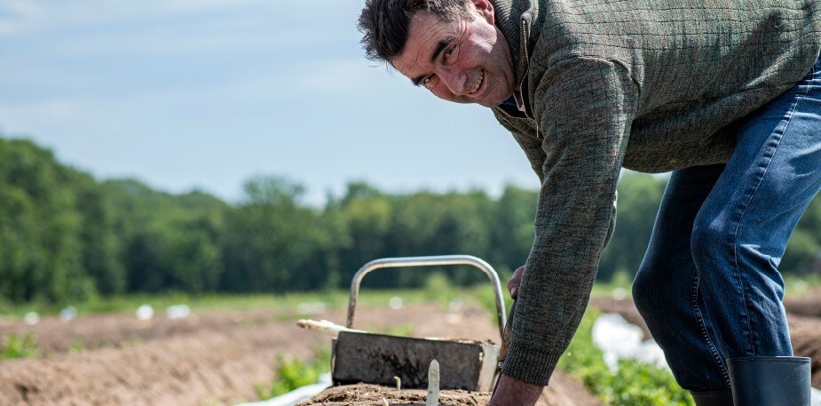 Tirez pleinement parti de la saison avec les asperges de Van Roey 