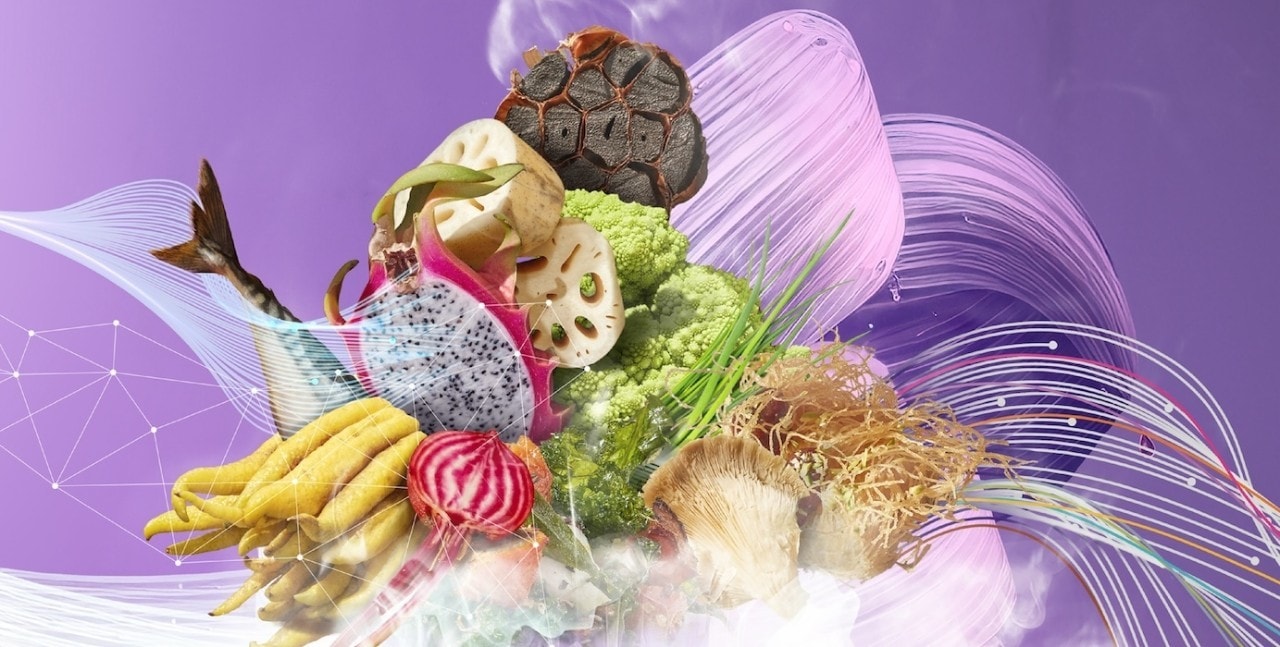 RAPPORT FUTURE MENUS 2024