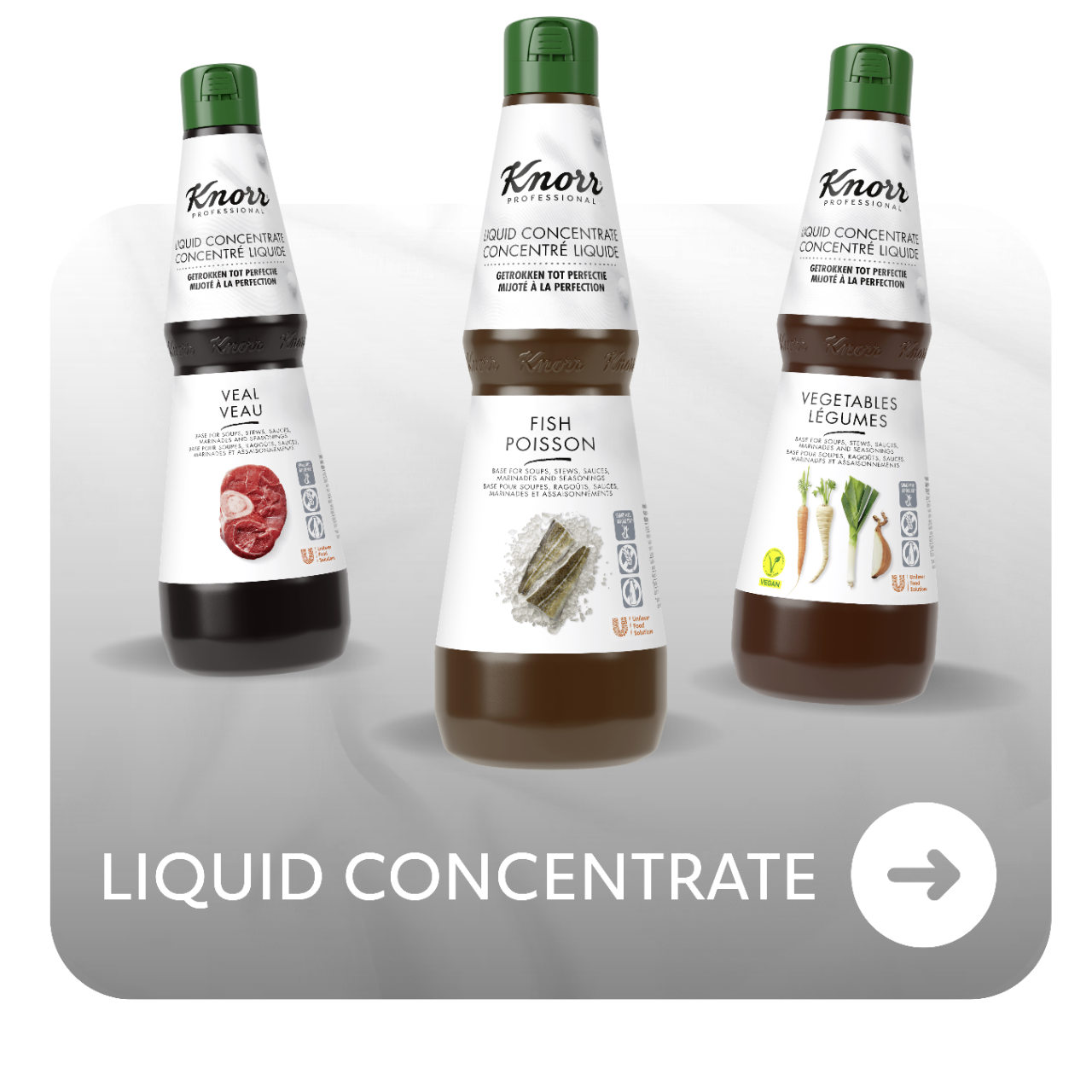 Knorr Professional liquid concentrate