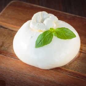 Burrata