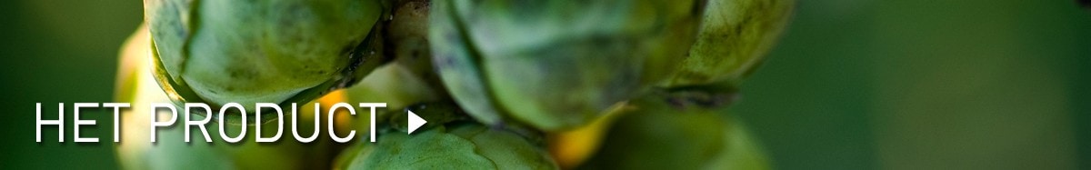 Het product