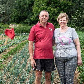 Grondwitloof, een heerlijk product met een puur verhaal  