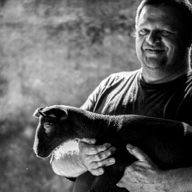 Het authentieke verhaal achter lokaal lam  