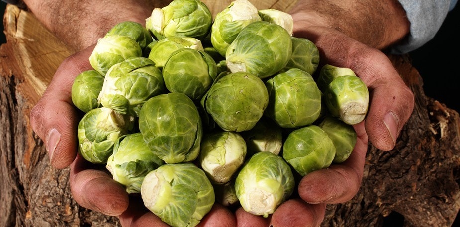  Waarom ‘terroir’ bovenaan je verlanglijst hoort